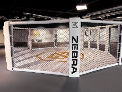 Deluxe boxing rings and MMA cages