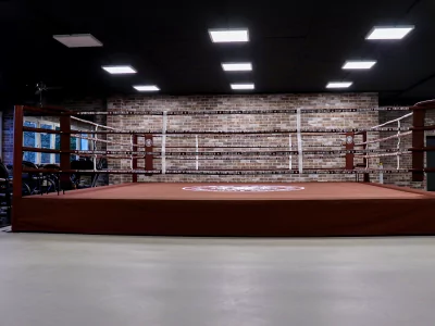 Deluxe boxing rings and MMA cages