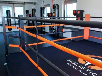 Deluxe boxing rings and MMA cages